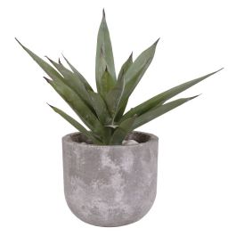 Artificial Aloe Vera Plant | Greenery | Sweetpea & Willow