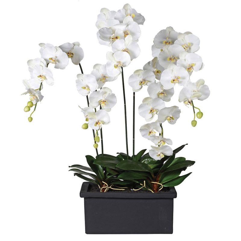 Ottilie Orchid Arrangement | Artificial Flowers & Trees | Sweetpea & Willow