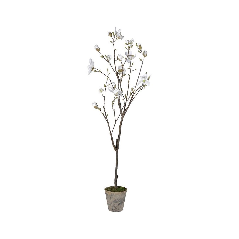 White Magnolia Tree | Sweetpea & Willow