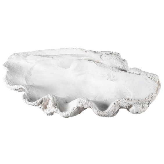 White resin shell sculpture 