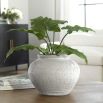 Floreana Vase - S