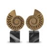 Eichholtz Ammonite Object - Set of 2