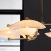 Upside saucer shaped lights on brass fixture