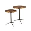 Set of two brass top side tabled with black steel frame and three legs