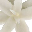 Aloe shaped white stone sculpture