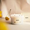 3 wick candle with citrus and black pepper fragrance notes