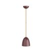 Burgandy coloured pendant light with brass accents