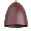 Burgandy coloured pendant light with brass accents