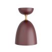 Burgandy coloured pendant light with brass accents