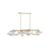 Upside saucer shaped lights on brass fixture