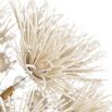 Chandelier with ivory coconut shells hand-formed into delicate dandelion shapes