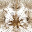 Chandelier with ivory coconut shells hand-formed into delicate dandelion shapes