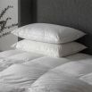 Sumptuous pillow filled with 80/20 White Goose Feather and Down and boasts a soft 210 thread count 100% cotton percale piped case