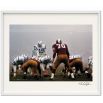 Neil Leifer. Guts & Glory. Art Edition No. 1-100 'Johnny Unitas' - Book & Print