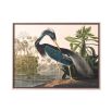 An exotic landscape illustration of a great blue heron in its natural habitat