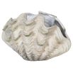 Resin clam decorative sculpture