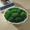 Awaken Moss Centrepiece