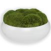 Elegant faux moss accessory with white bowl