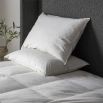 Set of two premium white pillows 