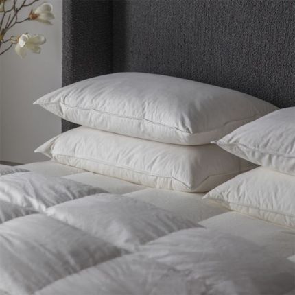 Simply Sleep Anti Allergy Pillow